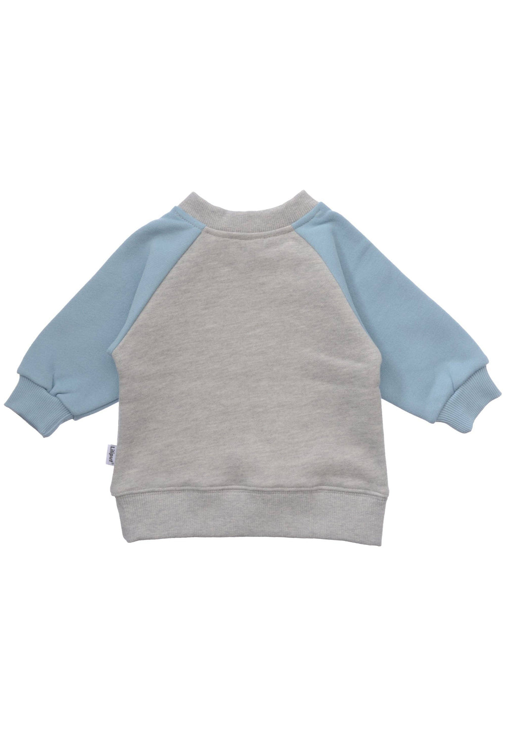 Cacao Multicolor Sweatshirt Mini and Me Edition (Mini)